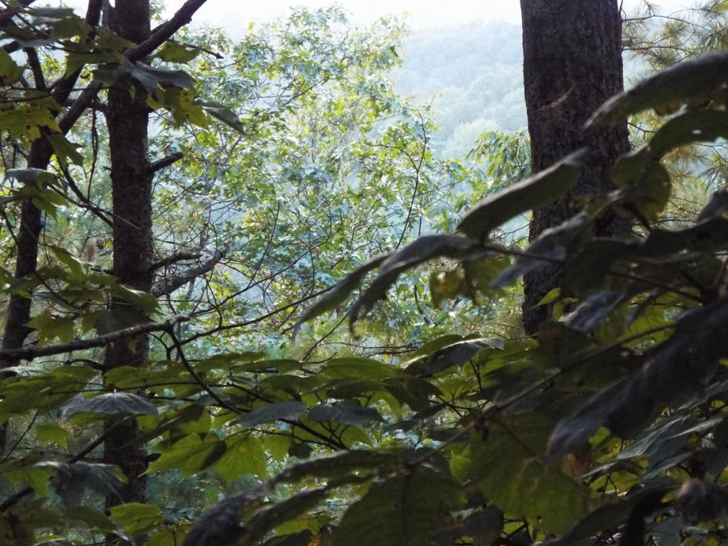 COLEMAN CLIFF, Frankford, WV 24938
