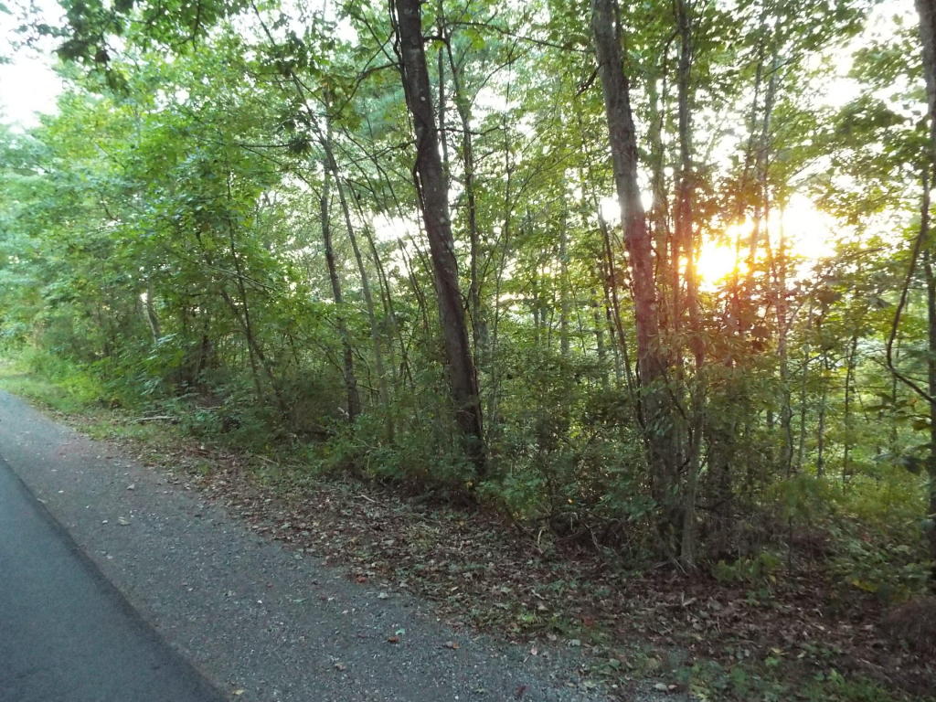 COLEMAN CLIFF, Frankford, WV 24938