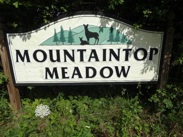 - MOUNTAINTOP MEADOW LANE, Frankford, WV 24938