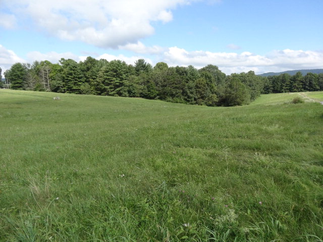 - MOUNTAINTOP MEADOW LANE, Frankford, WV 24938