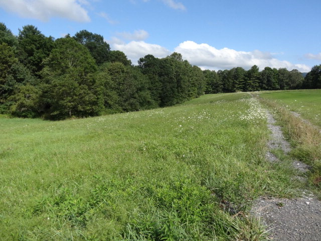 - MOUNTAINTOP MEADOW LANE, Frankford, WV 24938
