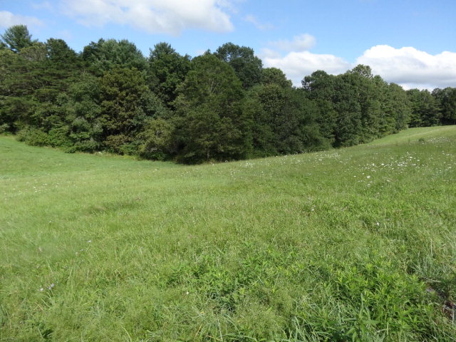 - MOUNTAINTOP MEADOW LANE, Frankford, WV 24938