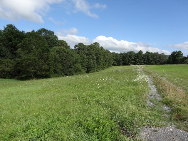 - MOUNTAINTOP MEADOW LANE, Frankford, WV 24938