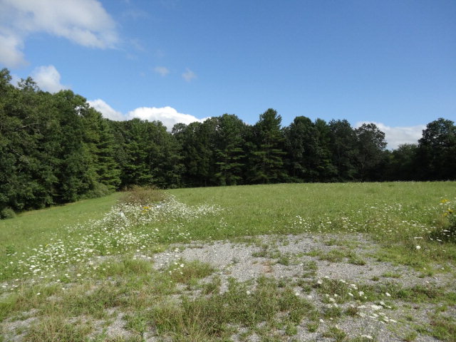 - MOUNTAINTOP MEADOW LANE, Frankford, WV 24938