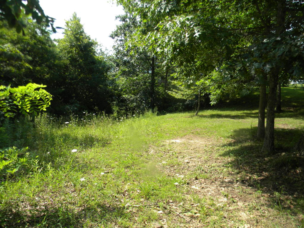 COLEMAN CLIFF ROAD, Frankford, WV 24938