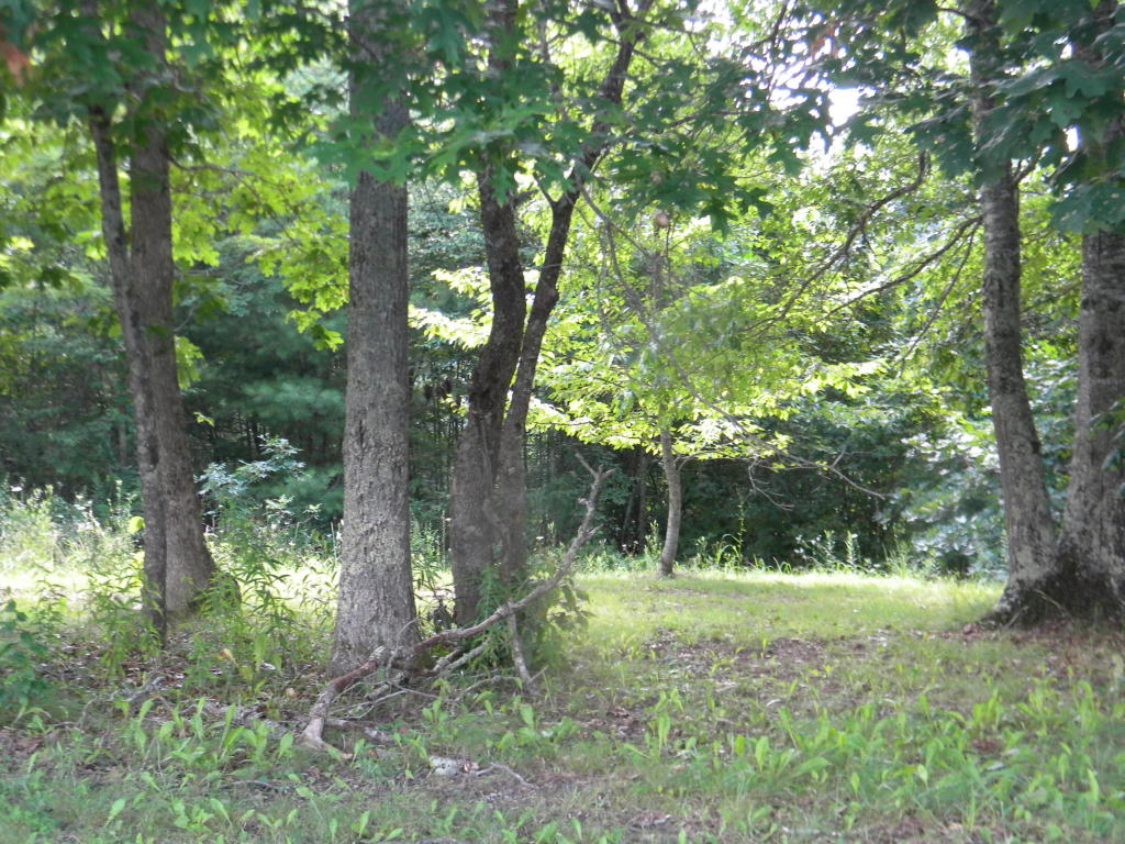 COLEMAN CLIFF ROAD, Frankford, WV 24938
