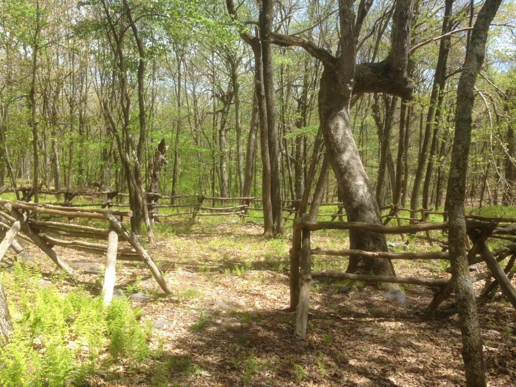 LOT 3 PETERS MOUNTAIN RETREAT, Gap Mills, WV 24941