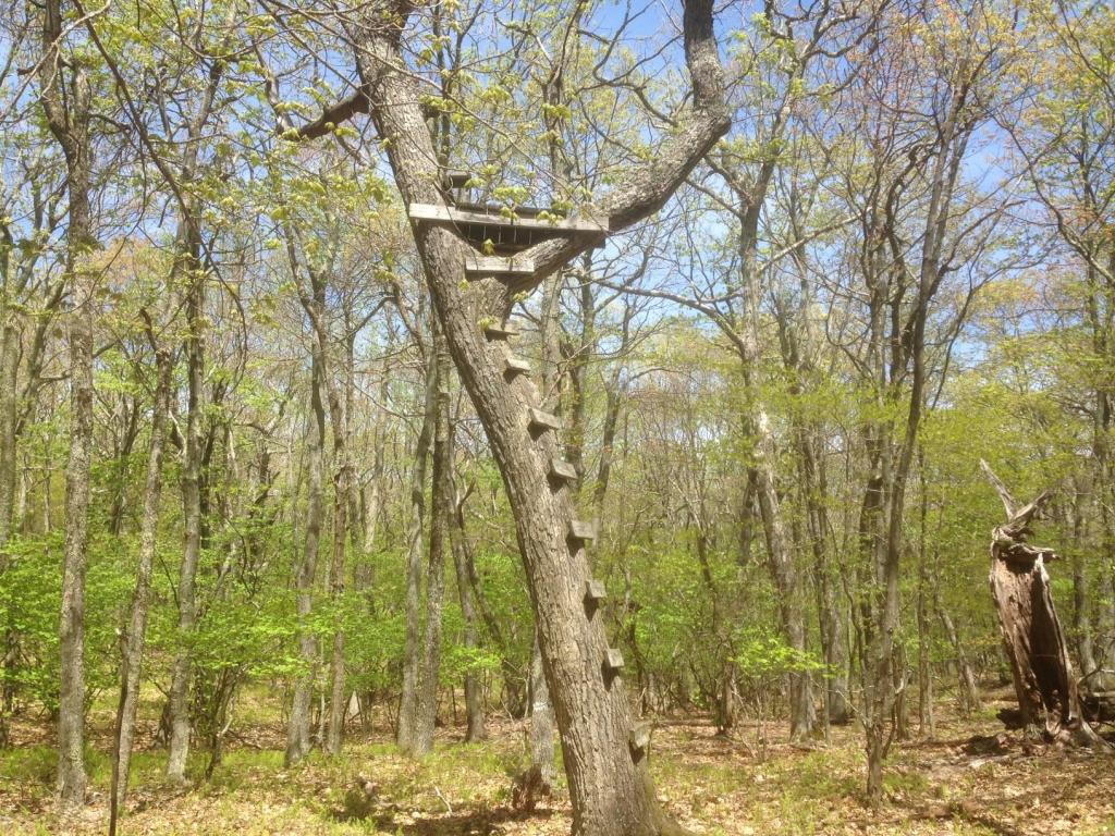LOT 3 PETERS MOUNTAIN RETREAT, Gap Mills, WV 24941