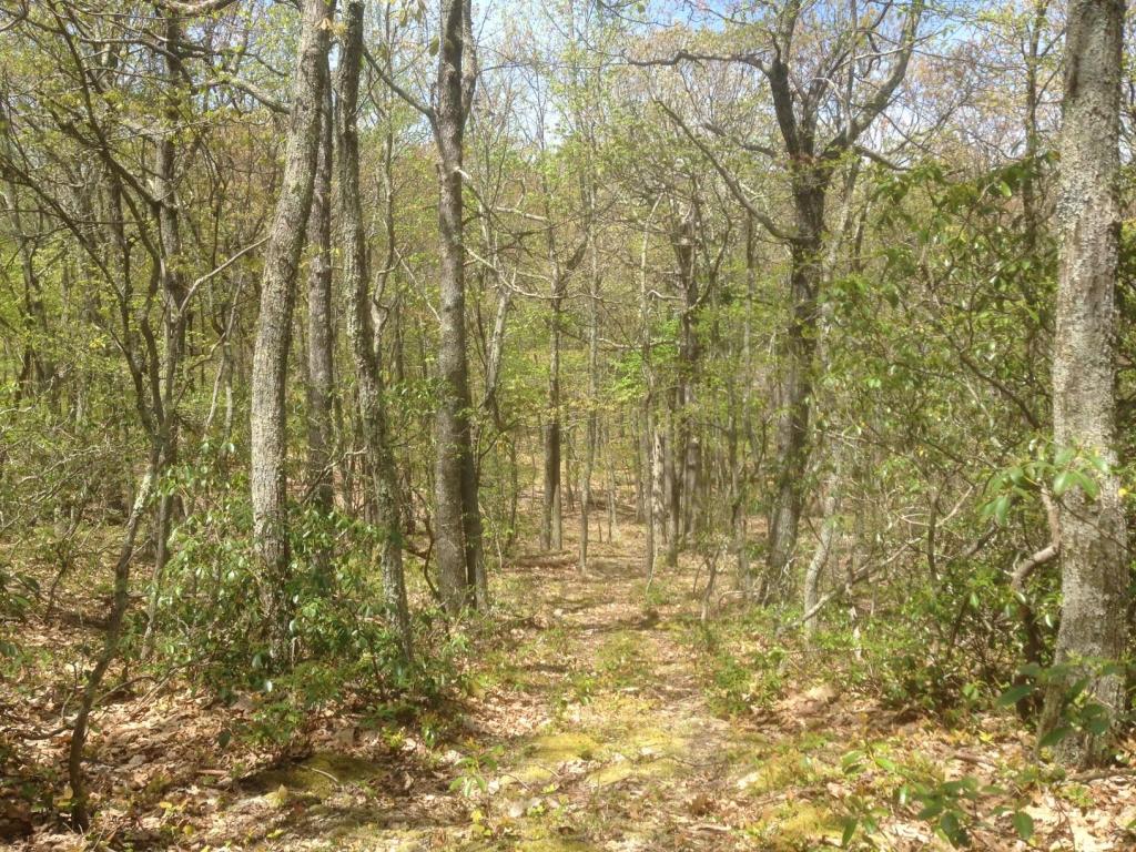 LOT 3 PETERS MOUNTAIN RETREAT, Gap Mills, WV 24941