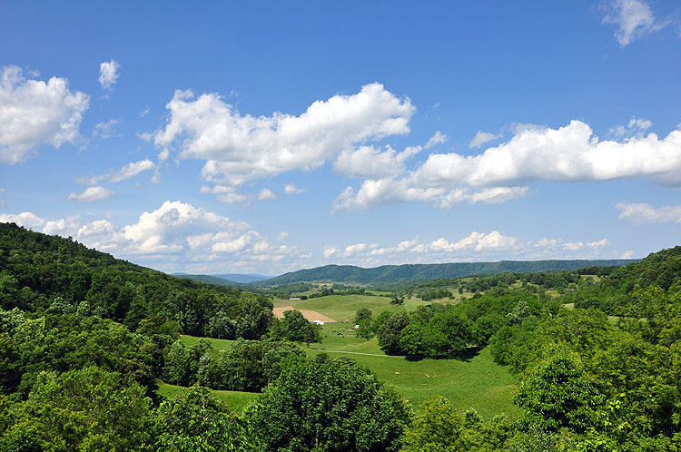 223 Mossy Ridge Road