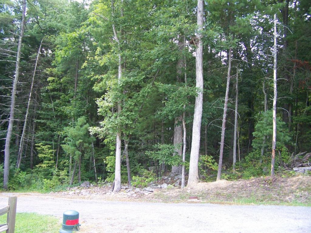 16292 Seneca Trail South