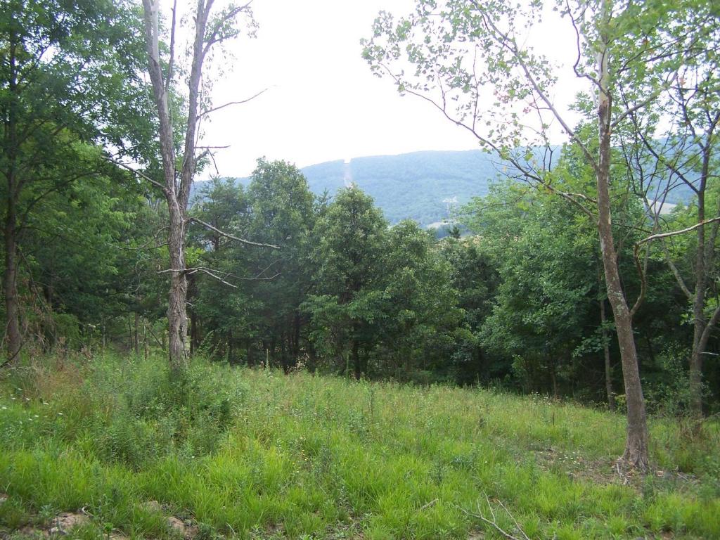 16292 Seneca Trail South