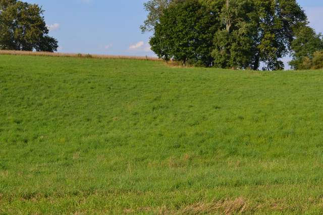 340 GLENWOOD LANE, Maxwelton, WV 24957