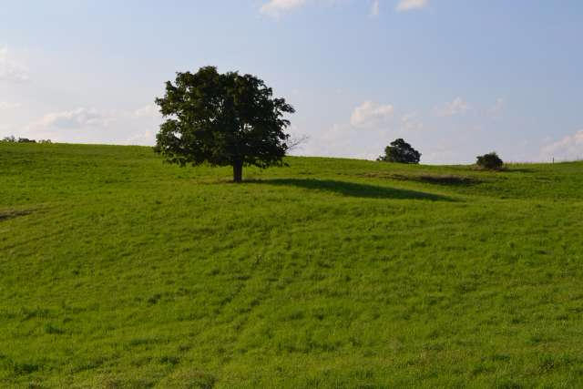 340 GLENWOOD LANE, Maxwelton, WV 24957