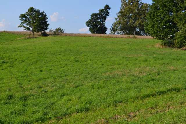 340 GLENWOOD LANE, Maxwelton, WV 24957