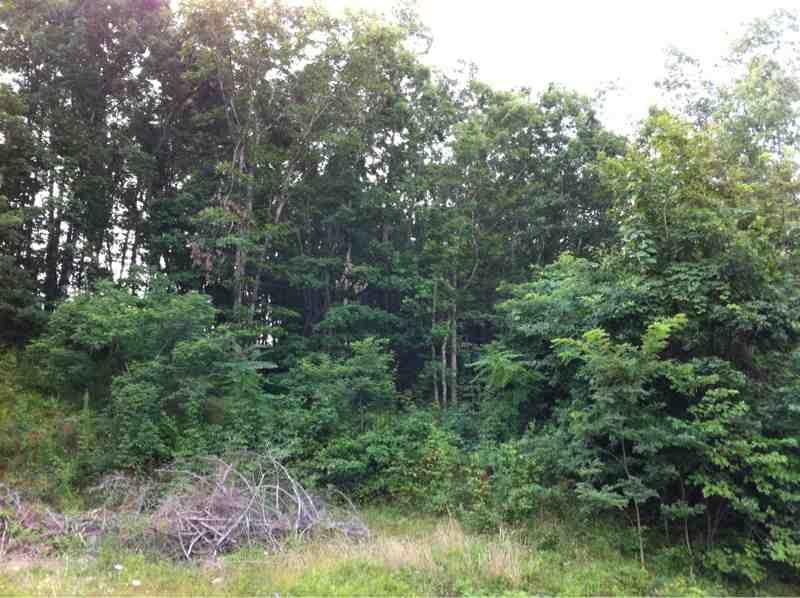BALLARD DRIVE, Ronceverte, WV 24970