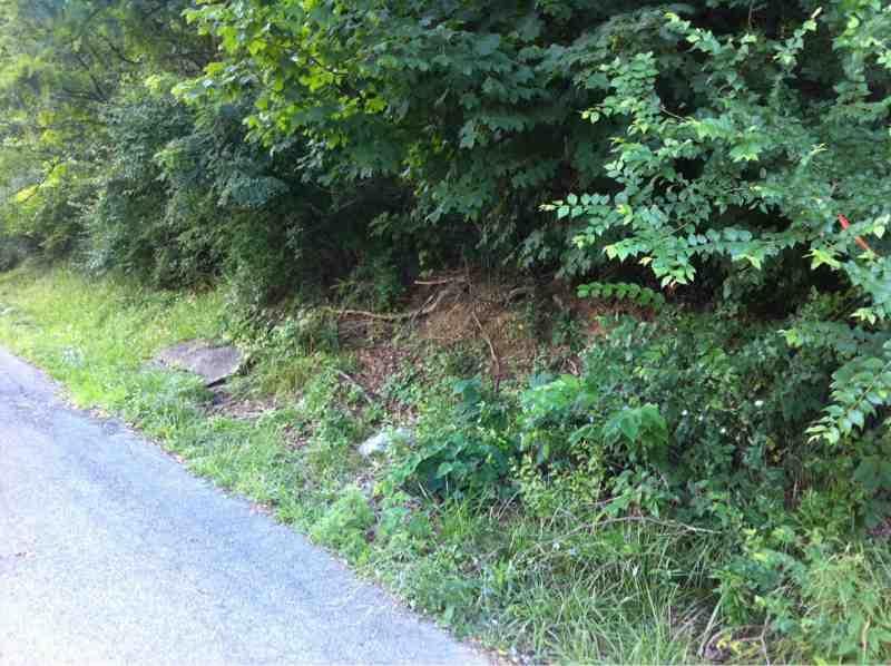 BALLARD DRIVE, Ronceverte, WV 24970
