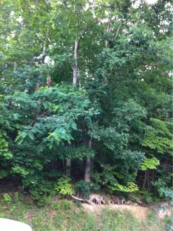 BALLARD DRIVE, Ronceverte, WV 24970