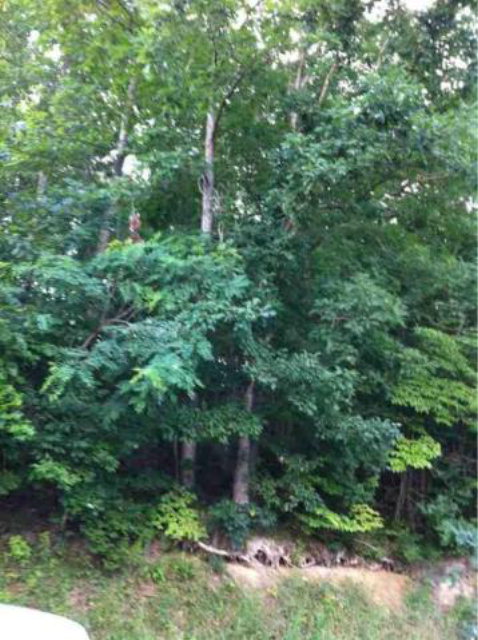 - BALLARD DRIVE, Ronceverte, WV 24970