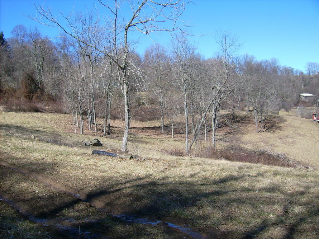 END OF VALLEY DRIVE, Ronceverte, WV 24970