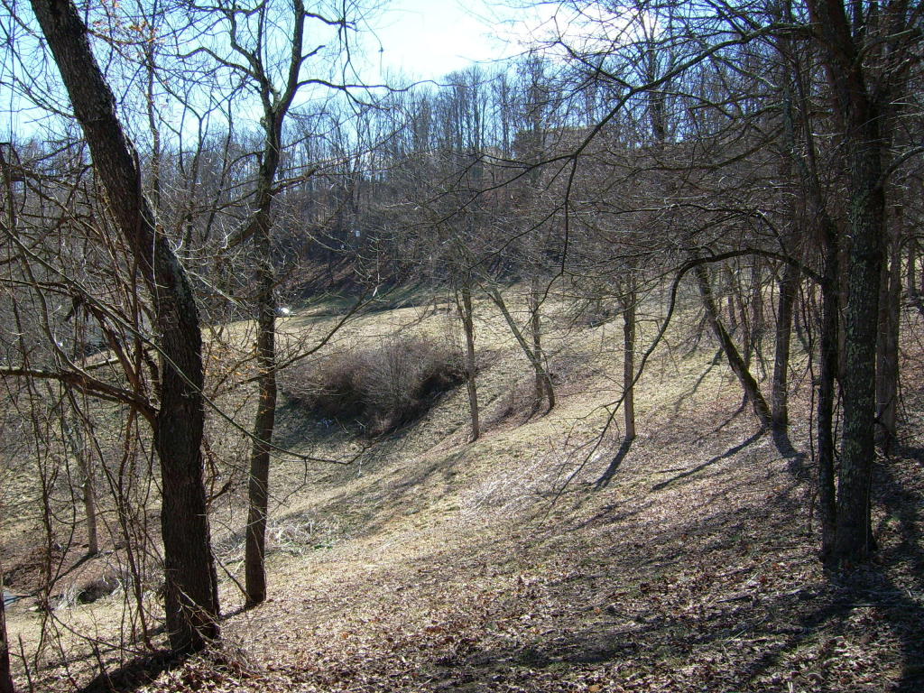 END OF VALLEY DRIVE, Ronceverte, WV 24970