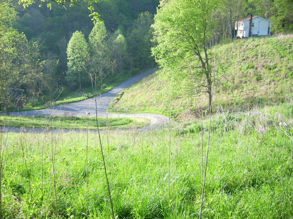 END OF VALLEY DRIVE, Ronceverte, WV 24970