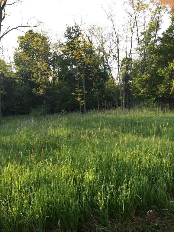 LOT NO. 47 LONGVIEW ESTATES, Union, WV 24983
