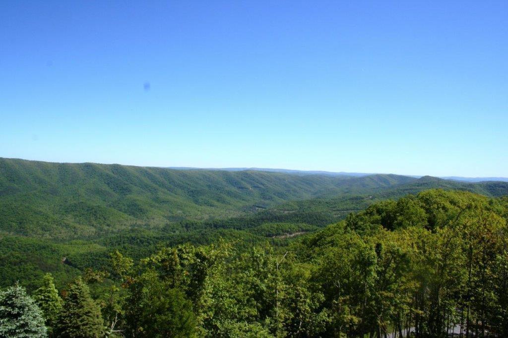 LOT 156, White Sulphur Springs, WV 24986