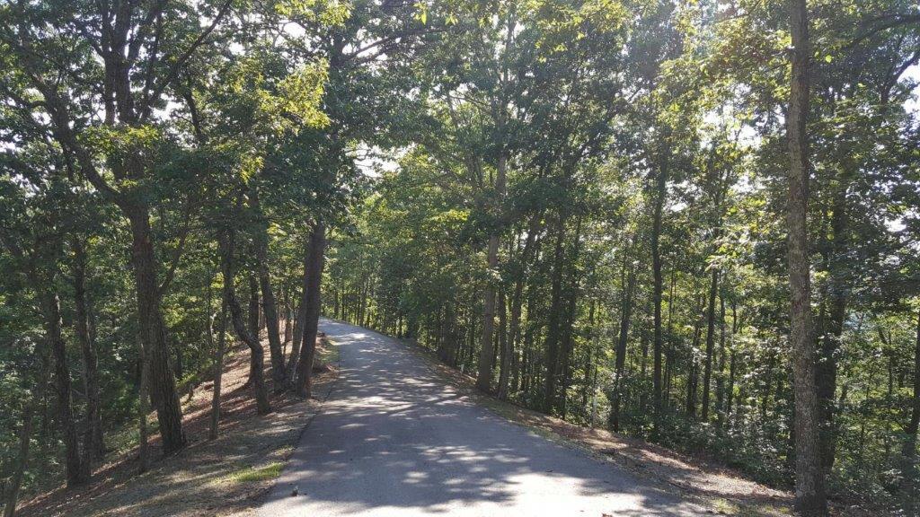 LOT 156, White Sulphur Springs, WV 24986