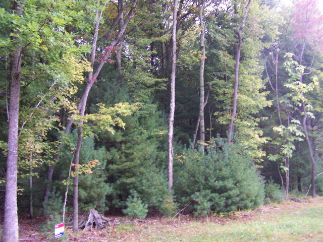 142 Dry Creek Road