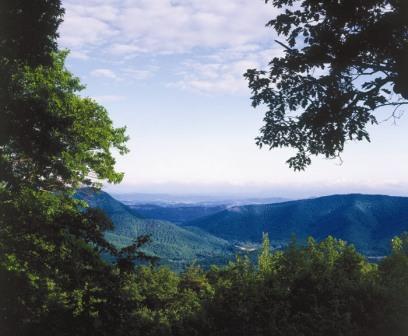 308 Summit Village Trail