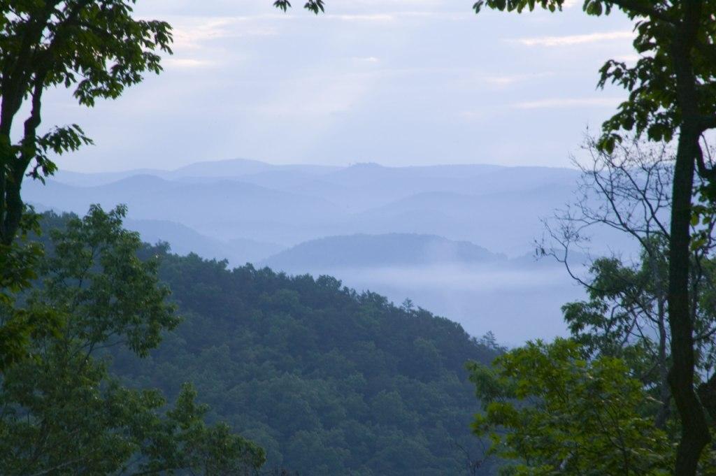 308 Summit Village Trail