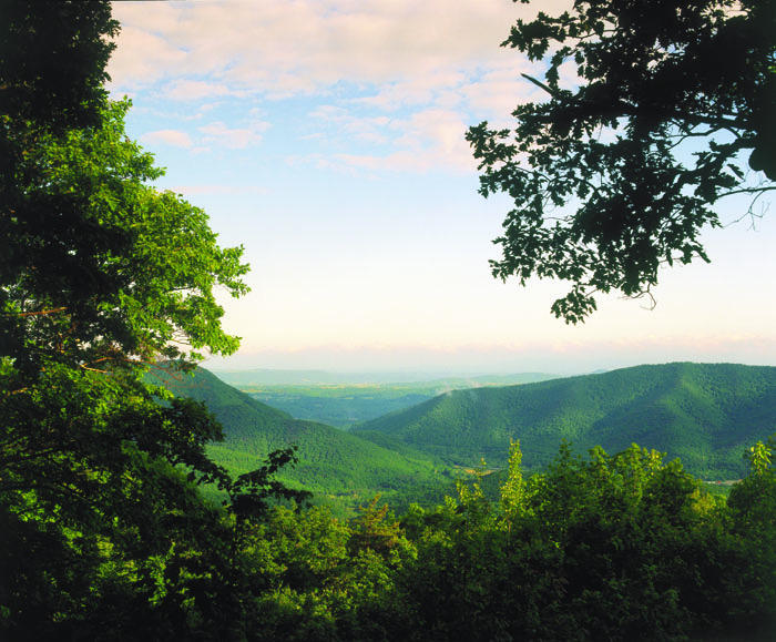 308 Summit Village Trail