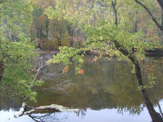 Meadow Mountain Road