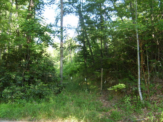 Meadow Mountain Road