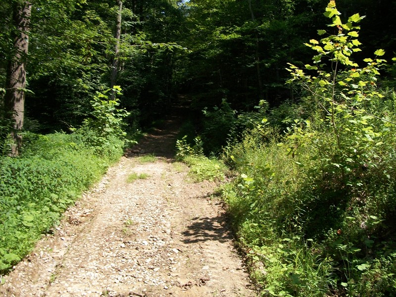 0 Porter Creek Rd, Bomont, WV 25030