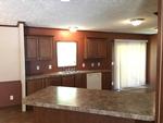 656 ISOM BRANCH RD ,WV, Lake, 25121