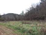 195 HUMMINGBIRD LN ,WV, Leon, 25123