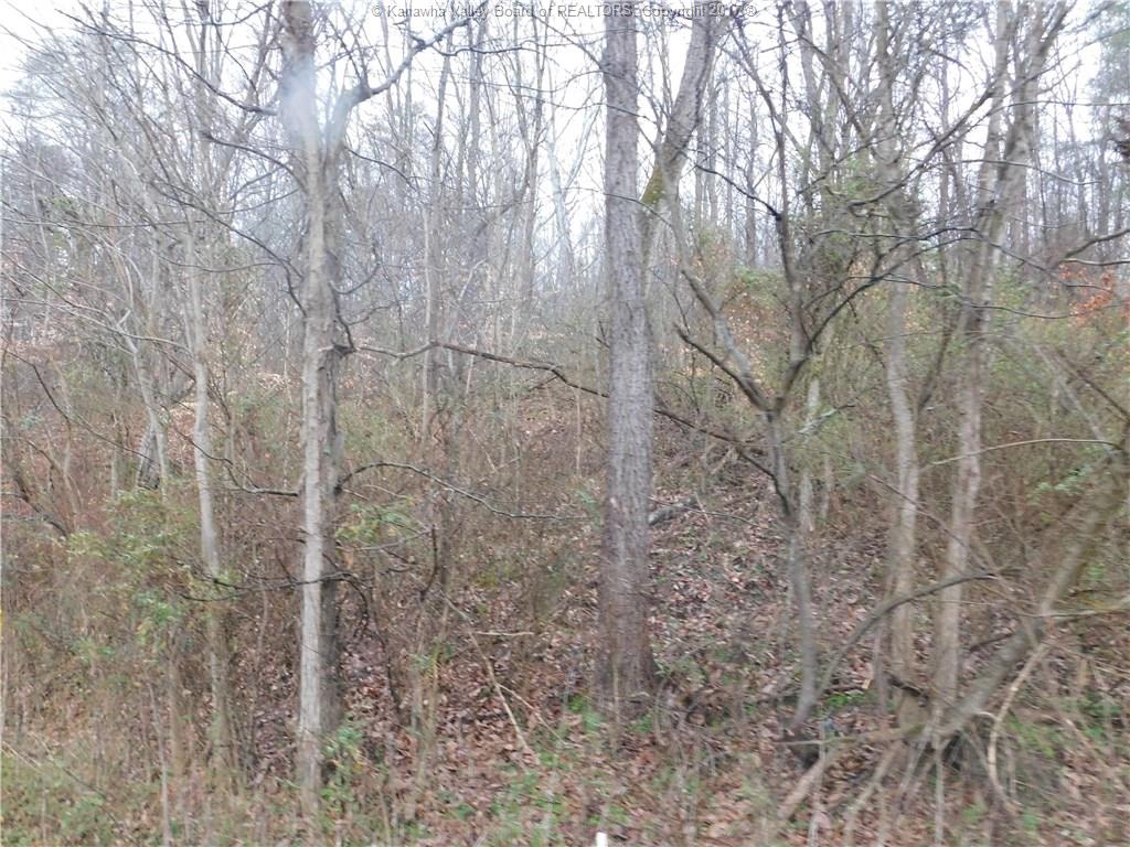 0 Dairy, 3 Road, Poca, WV 25159