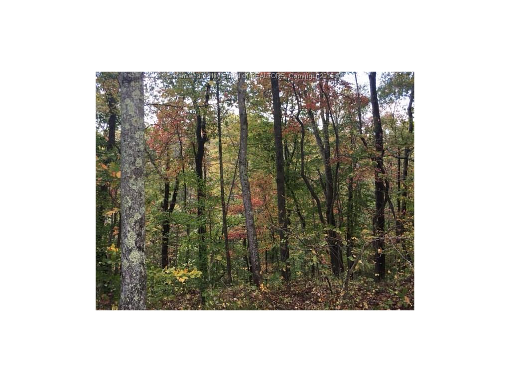 50 Bennett Lane, Poca, WV 25159