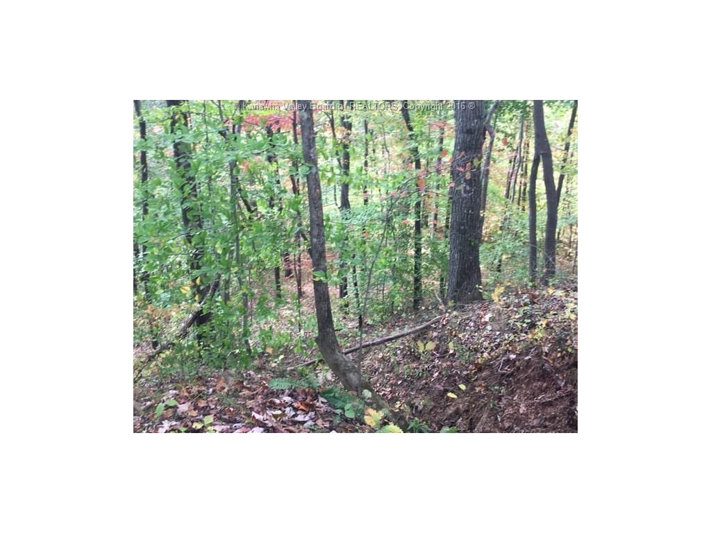 50 Bennett Lane, Poca, WV 25159