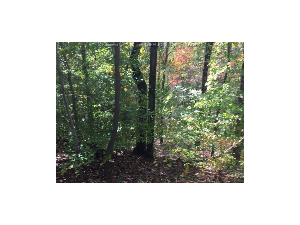 50 Bennett Lane, Poca, WV 25159