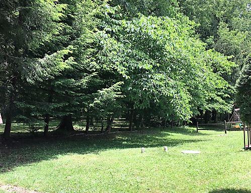 13 Lower Falls EstsSaint Albans, WV, 25177Kanawha County