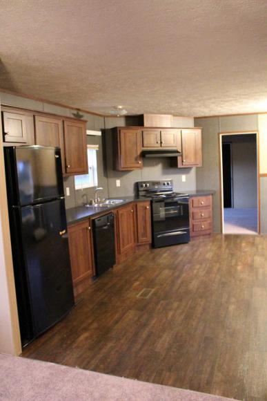 172 Riverine Dr ,WV, Winfield, 25213
