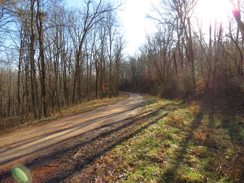 123 RD 11/9 Big Run, Arnoldsburg, WV 25234