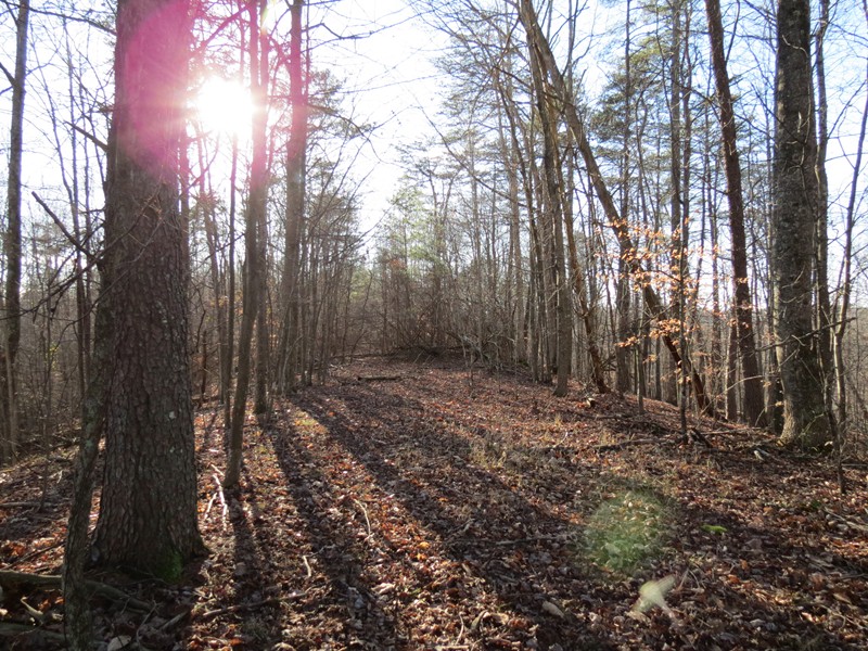 123 RD 11/9 Big Run, Arnoldsburg, WV 25234