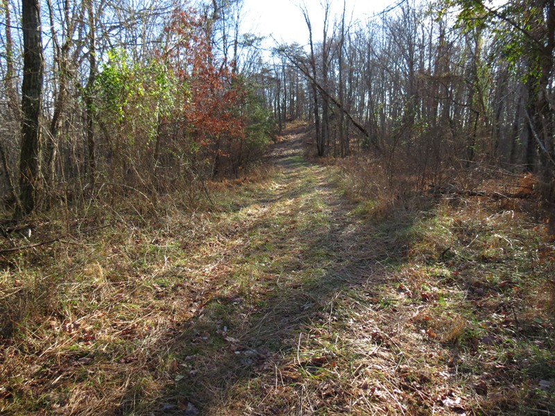 123 RD 11/9 Big Run, Arnoldsburg, WV 25234