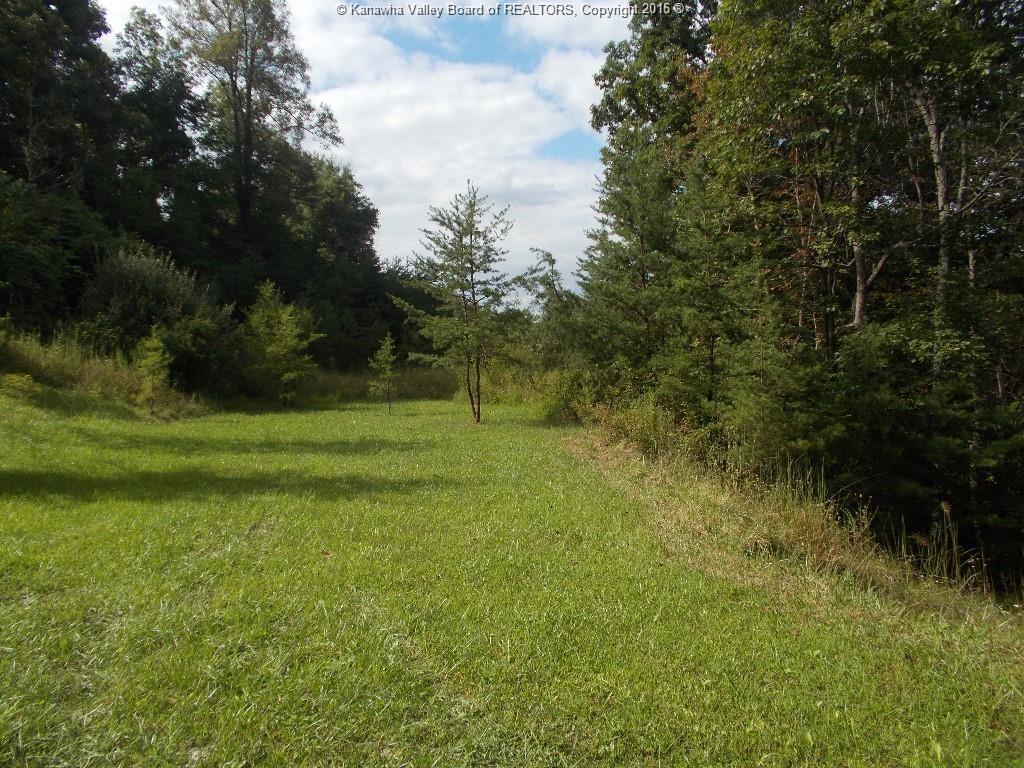 5 Holly Hills, Evans, WV 25241