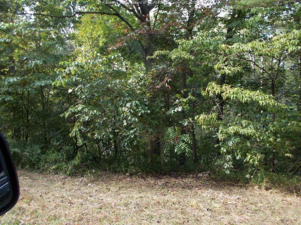 5 Holly Hills, Evans, WV 25241