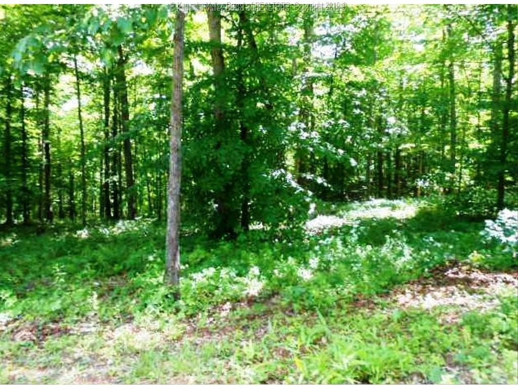 12 Highland Lane, Kenna, WV 25248